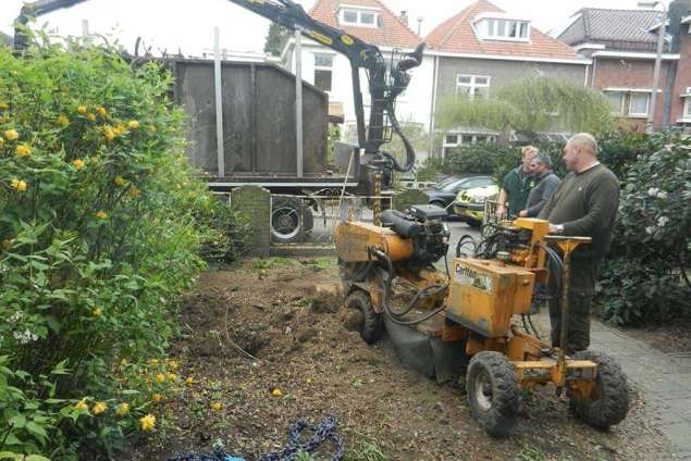 boomstronk uitfrezen in Hilvarenbeek